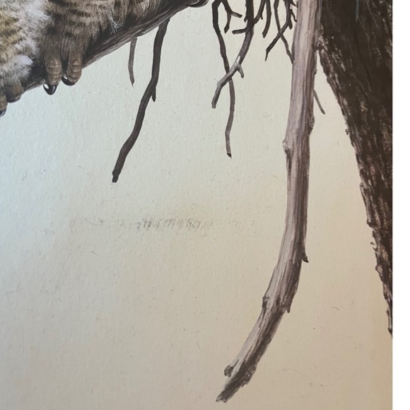 Guy Coheleach Plate 3 Signed Print "Young Great Horned Owls" Unframed READ RHA - Picture 9 of 9